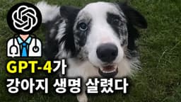 생명 살린 GPT-4 의사도 AI에 대체되나?