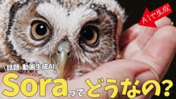 『Sora』と『他の動画生成ai(Gen-3/Kling)』を比較してみた。おすすめ動画生成aiツールはどれ？