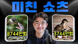 동물 모성애 쇼츠 1개로 단 7일 만에 8,700만 조회수를 돌파한 방법